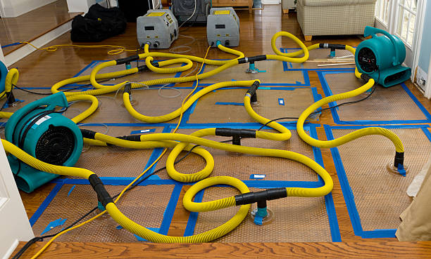 Professional Water Damage Repair technician working in Moscow, TN